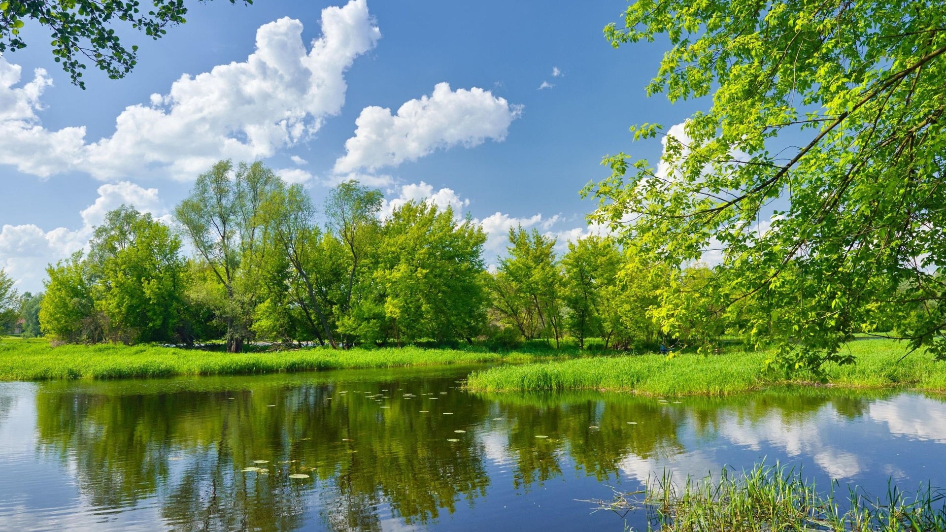 کارت ویزیت هوشمند